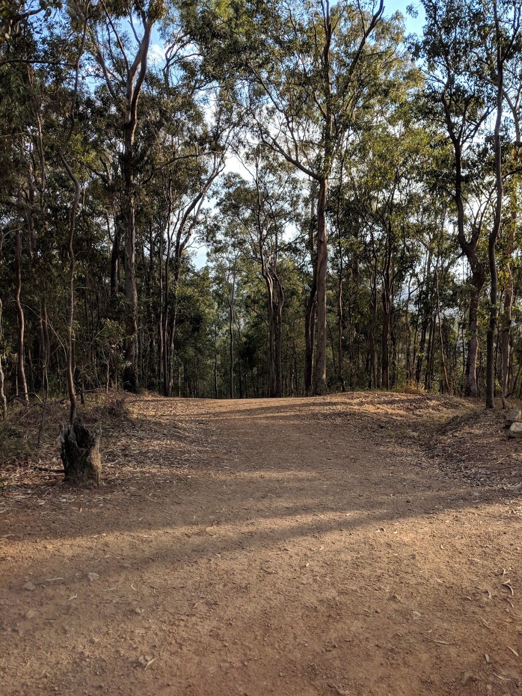 Honeyeater Hiking Track | park | Honeyeater Track, Mount Coot-Tha QLD 4066, Australia