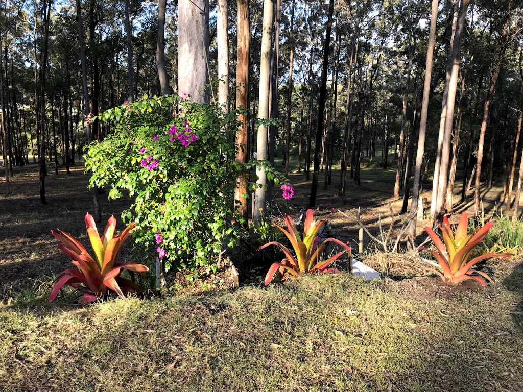 Springwood Meditation Centre 春木禪修渡假中心 | restaurant | 223 Dennis Rd, Springwood QLD 4127, Australia | 0955955488 OR +886 955 955 488