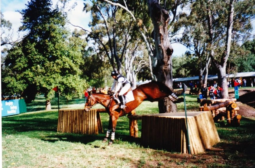 Applied Posture Riding | 901 Barossa Valley Way, Sandy Creek SA 5350, Australia | Phone: 0447 337 276