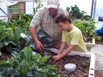 Goolwa Aquaponics | 18 Sumner St, Goolwa SA 5214, Australia | Phone: (08) 8555 1000