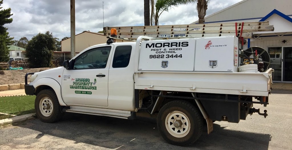 Morris Pest & Weed Control | 152 Old York Rd, Northam WA 6401, Australia | Phone: (08) 9622 3444