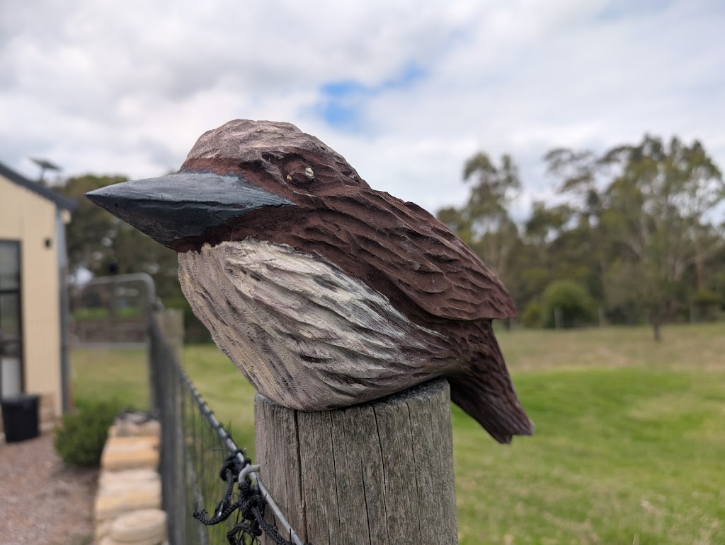 the art COLT | 20 Dixon St, Stratford VIC 3862, Australia | Phone: 0419 323 219