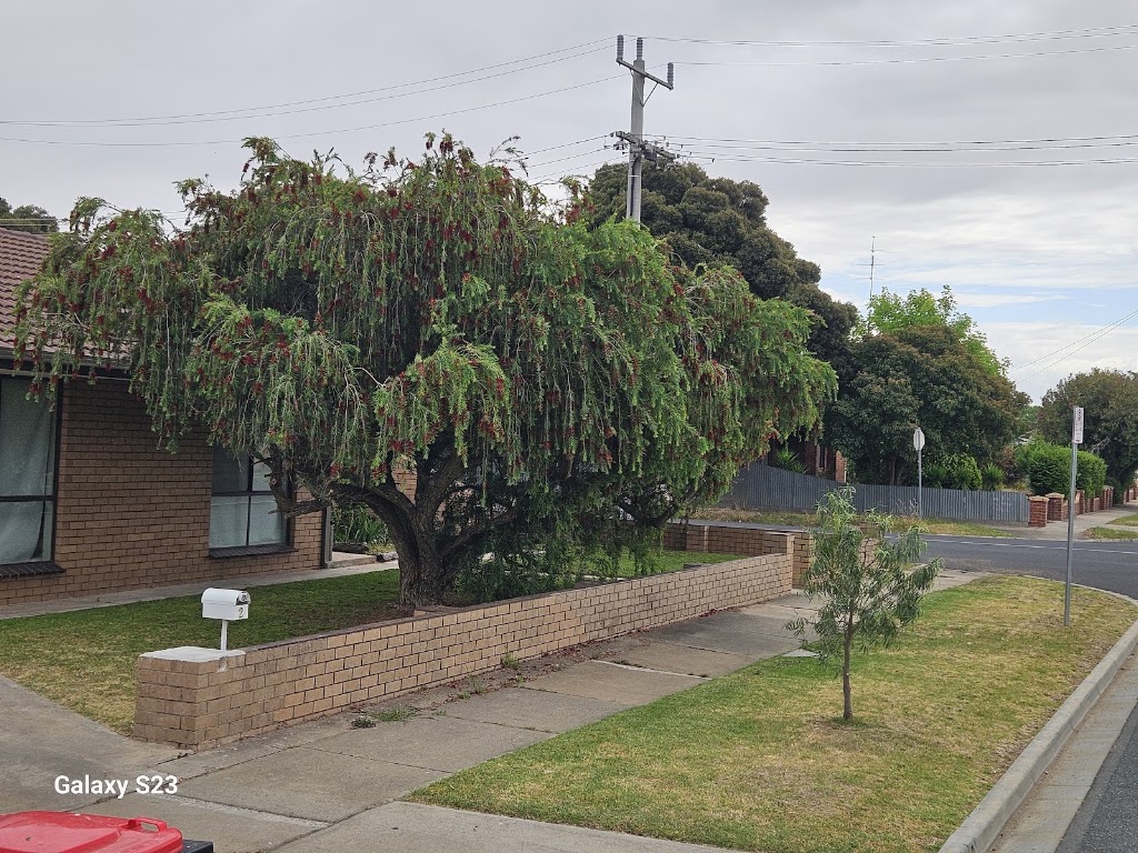 Steven Trevaskis Gardening Service | 31 Wendouree Dr, Kialla VIC 3631, Australia | Phone: 0417 508 145