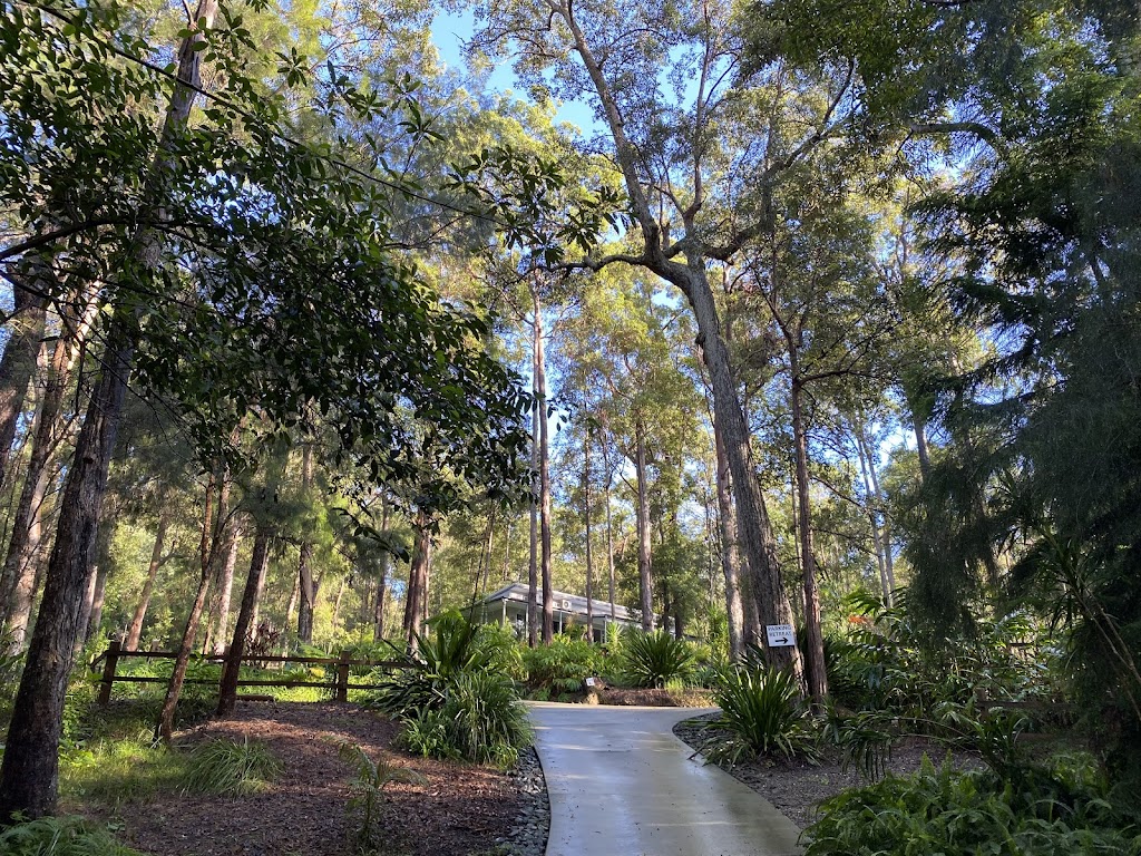 Mindsconnect | 44A Ingram Rd, Jimboomba QLD 4280, Australia | Phone: 0404 010 295