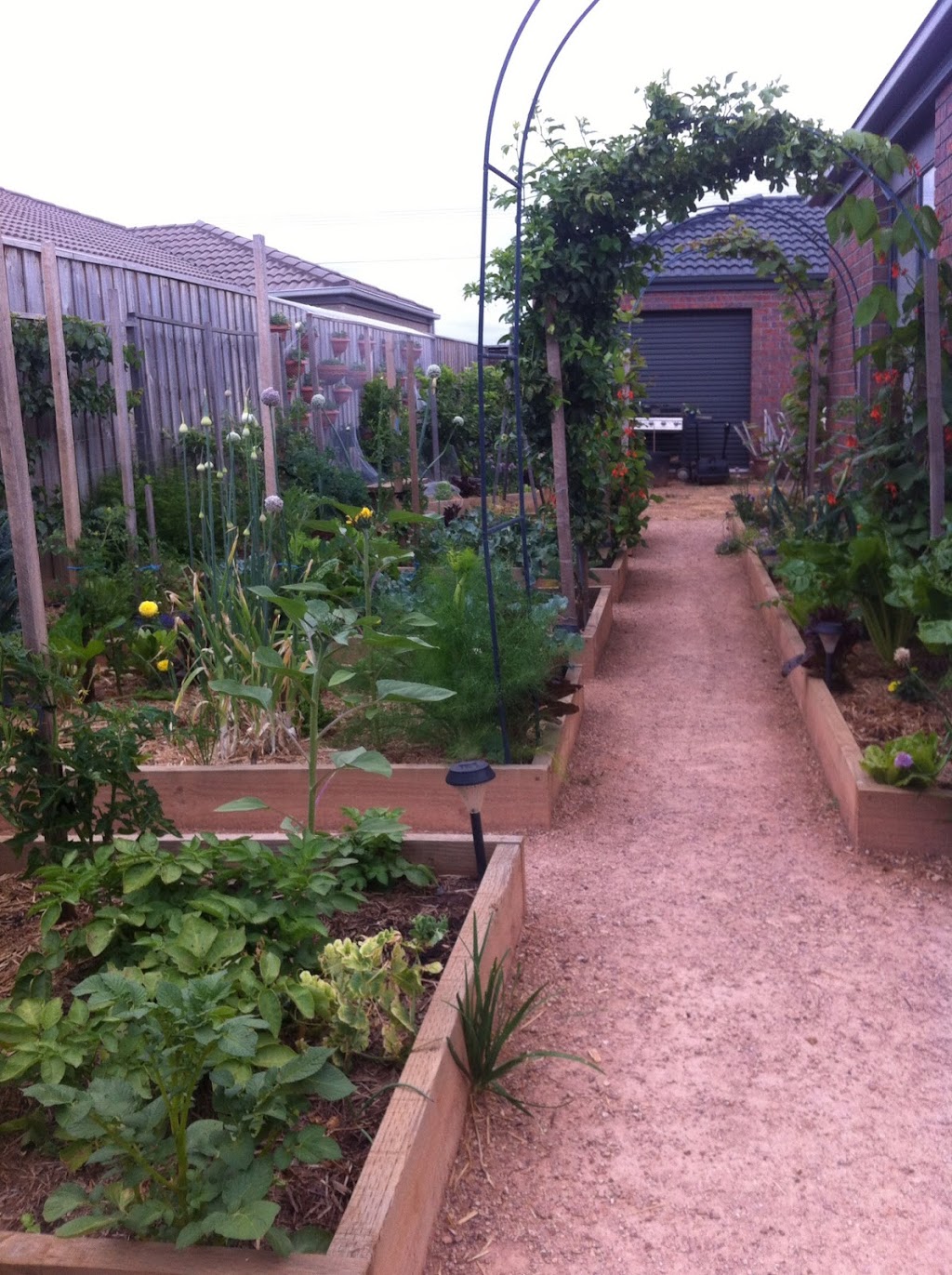 Edible Gardens by Craig Castree | 88 Rowes Rd, Werribee VIC 3030, Australia | Phone: 0411 720 283