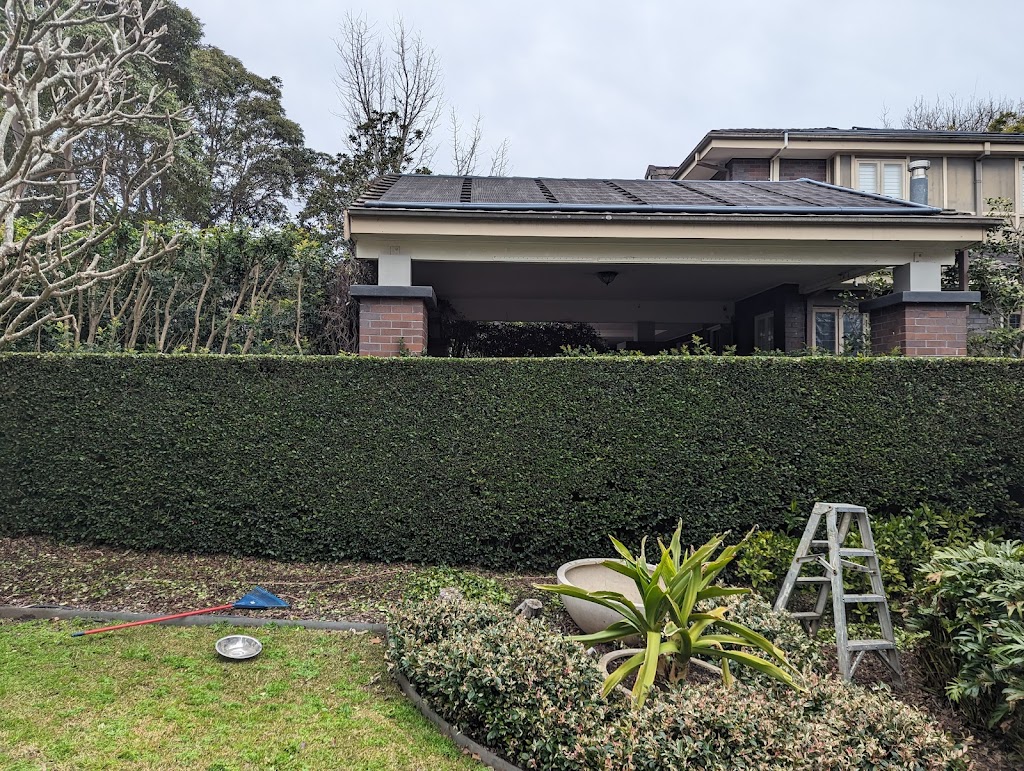 Seed to Sky | 5 Prince St, Thirroul NSW 2515, Australia | Phone: 0479 140 475 Seed to Sky | 5 Prince St, Thirroul NSW 2515, Australia | Phone: 0479 140 475