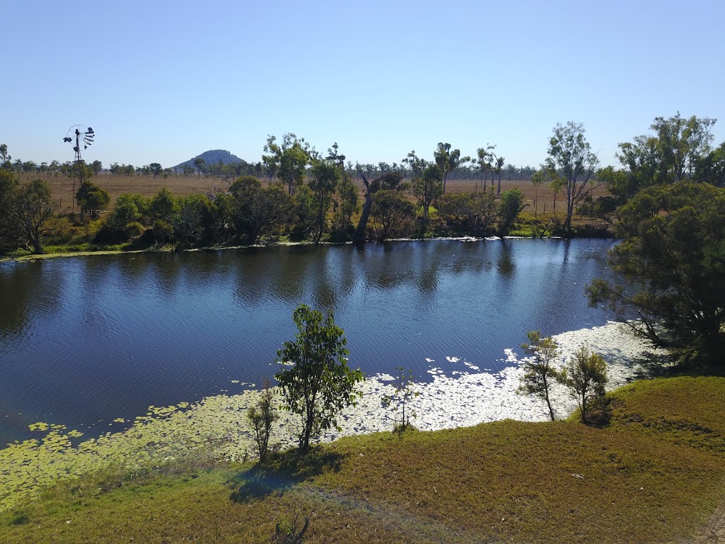 Hedlow Creek Reserve | park | LOT 1 Lake Mary Rd, Lake Mary QLD 4703, Australia