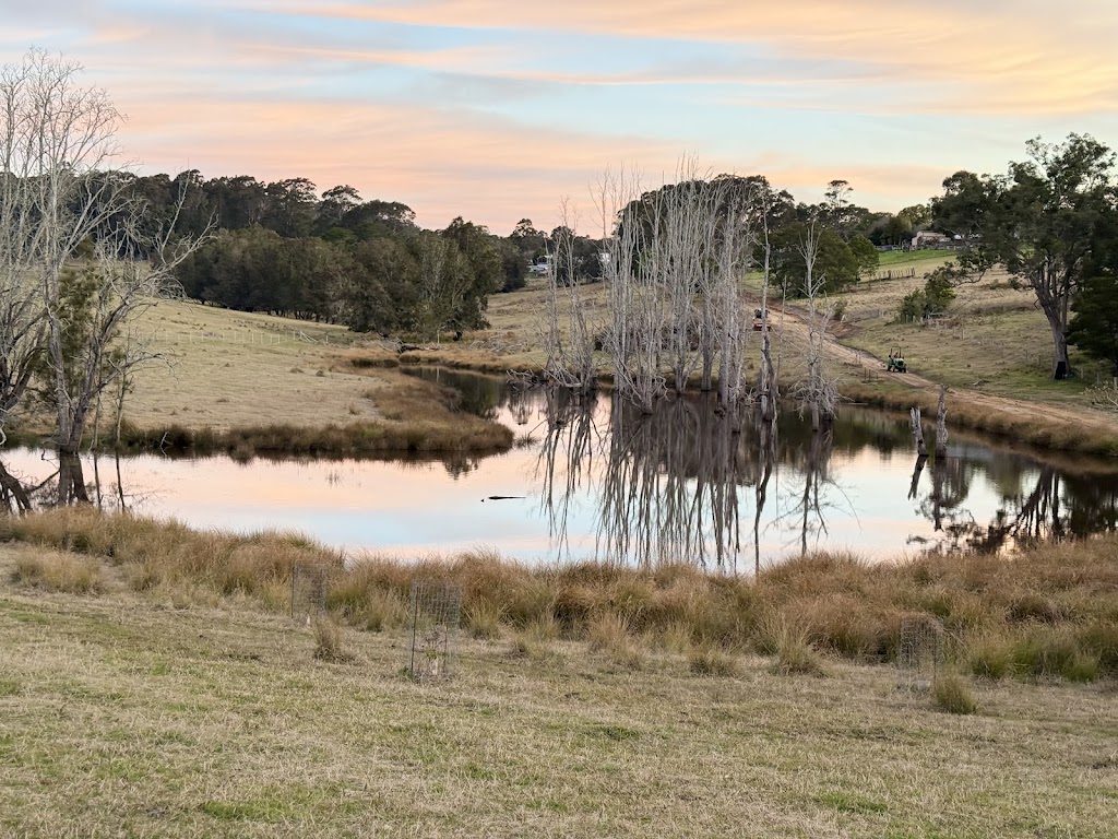 Walawaani Way Conservation Burial | 77 Princes Hwy, Bodalla NSW 2545, Australia | Phone: 0402 892 759 Walawaani Way Conservation Burial | 77 Princes Hwy, Bodalla NSW 2545, Australia | Phone: 0402 892 759
