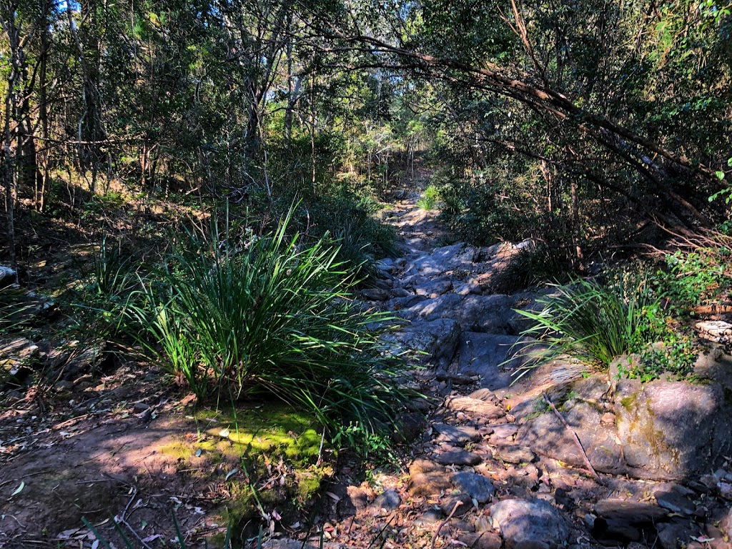 Red Ash Picnic Area |  | Bellbird Grove Road, Enoggera Reservoir QLD 4520, Australia | 0735122300 OR +61 7 3512 2300