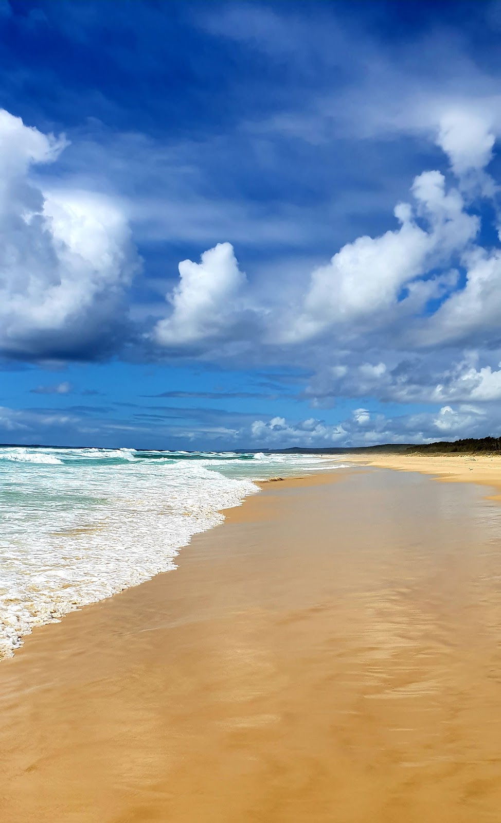 Point Lookout Surf Life Saving Club | 24 Kennedy Dr, Point Lookout QLD 4183, Australia | Phone: 0428 771 377