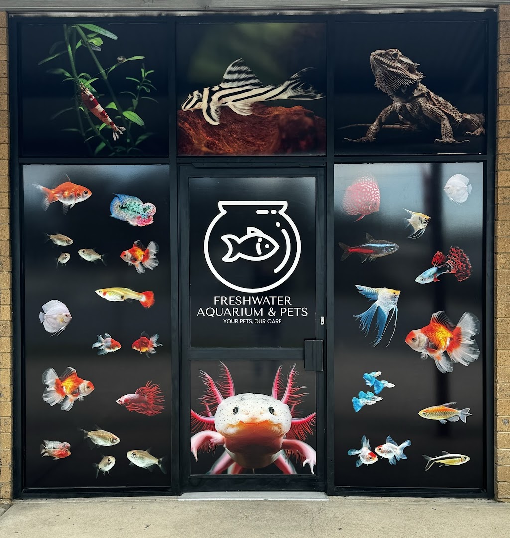 Freshwater Aquariums & Pets | 16 Longfield St, Stawell VIC 3380, Australia | Phone: 0400 927 762