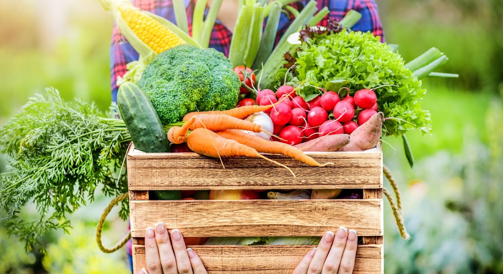 Tristania Farm | 25 Kirkland Rd, Nimbin NSW 2480, Australia | Phone: 0438 420 091