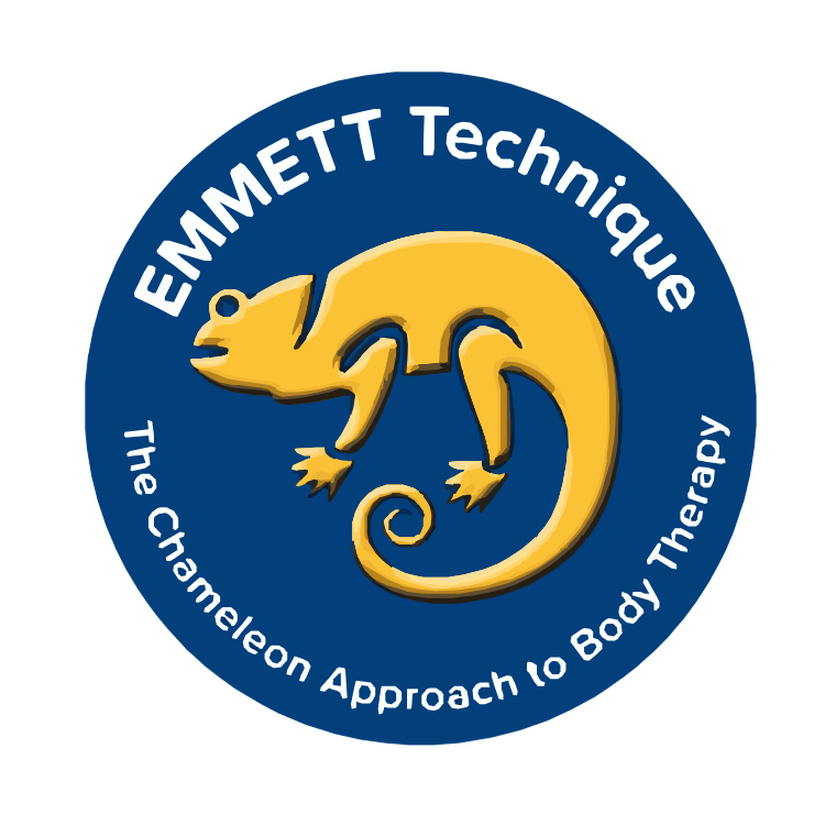 EMMETT Technique | 79-87 Cooreen Rd, Munruben QLD 4125, Australia | Phone: 0472 751 985