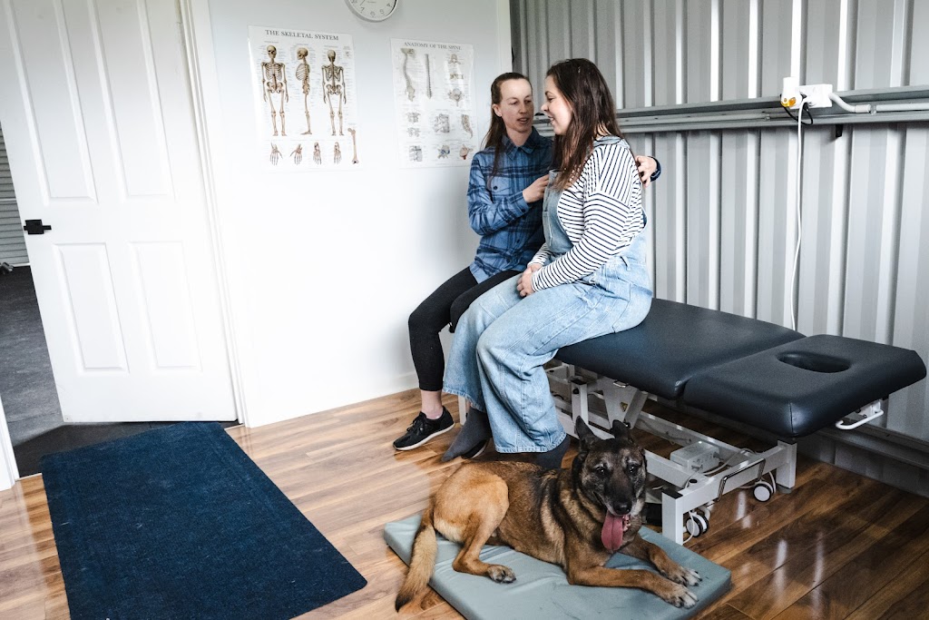 Ballarat Animal Rehabilitation Centre (BARC) | 102 Brumbys Ln, Snake Valley VIC 3351, Australia | Phone: 0422 124 814