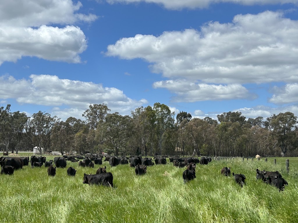 Arcadia Farms | 291 Goulburn Valley Hwy, Seymour VIC 3660, Australia | Phone: 0416 420 684