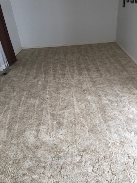 PRO-TECH Carpet Cleaning | laundry | 12 Toomey Pl, Spence ACT 2615, Australia | 0406219786 OR +61 406 219 786
