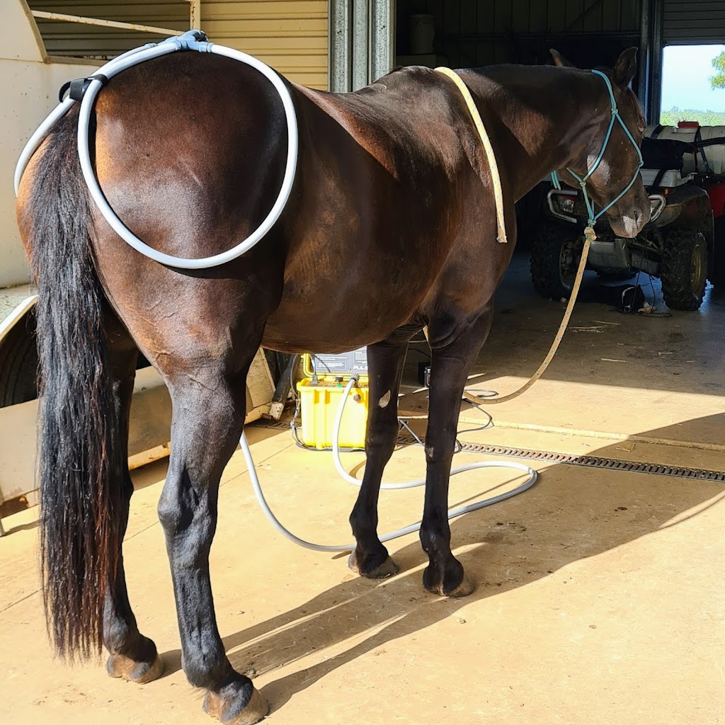 CAC Equine Therapy | 154 Walshs Rd, Nebo QLD 4742, Australia | Phone: 0447 667 066