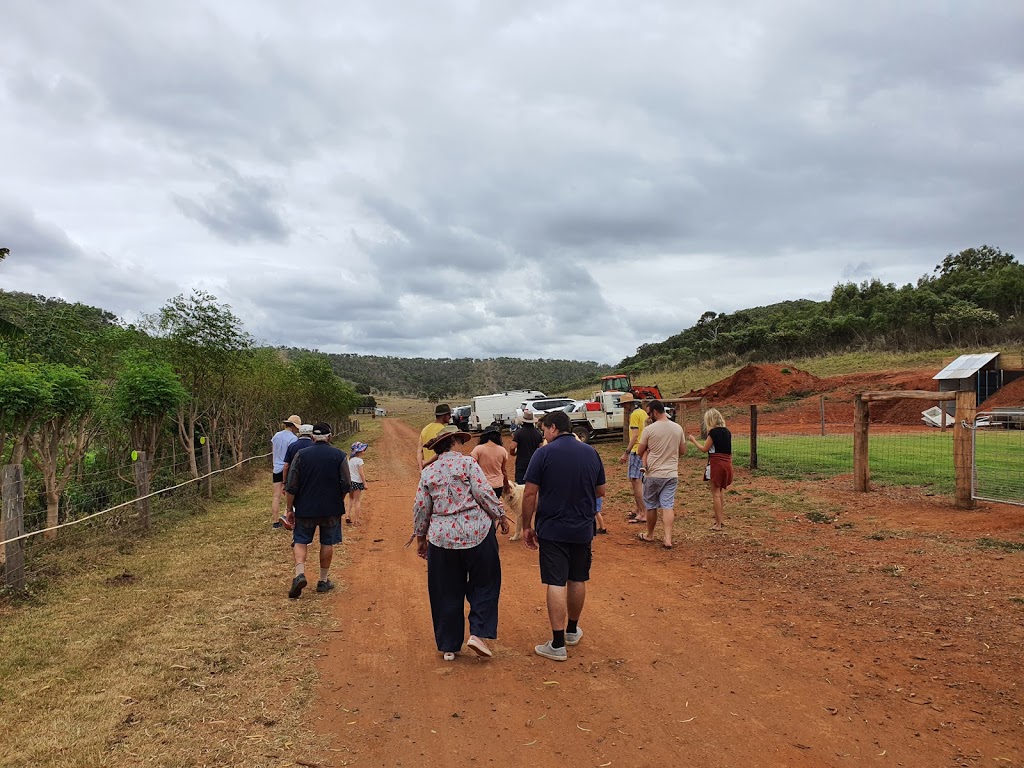 High Valley Dawn, Permaculture Farm | park | 192 Clayton Rd, Rosslyn QLD 4703, Australia | 0488923286 OR +61 488 923 286