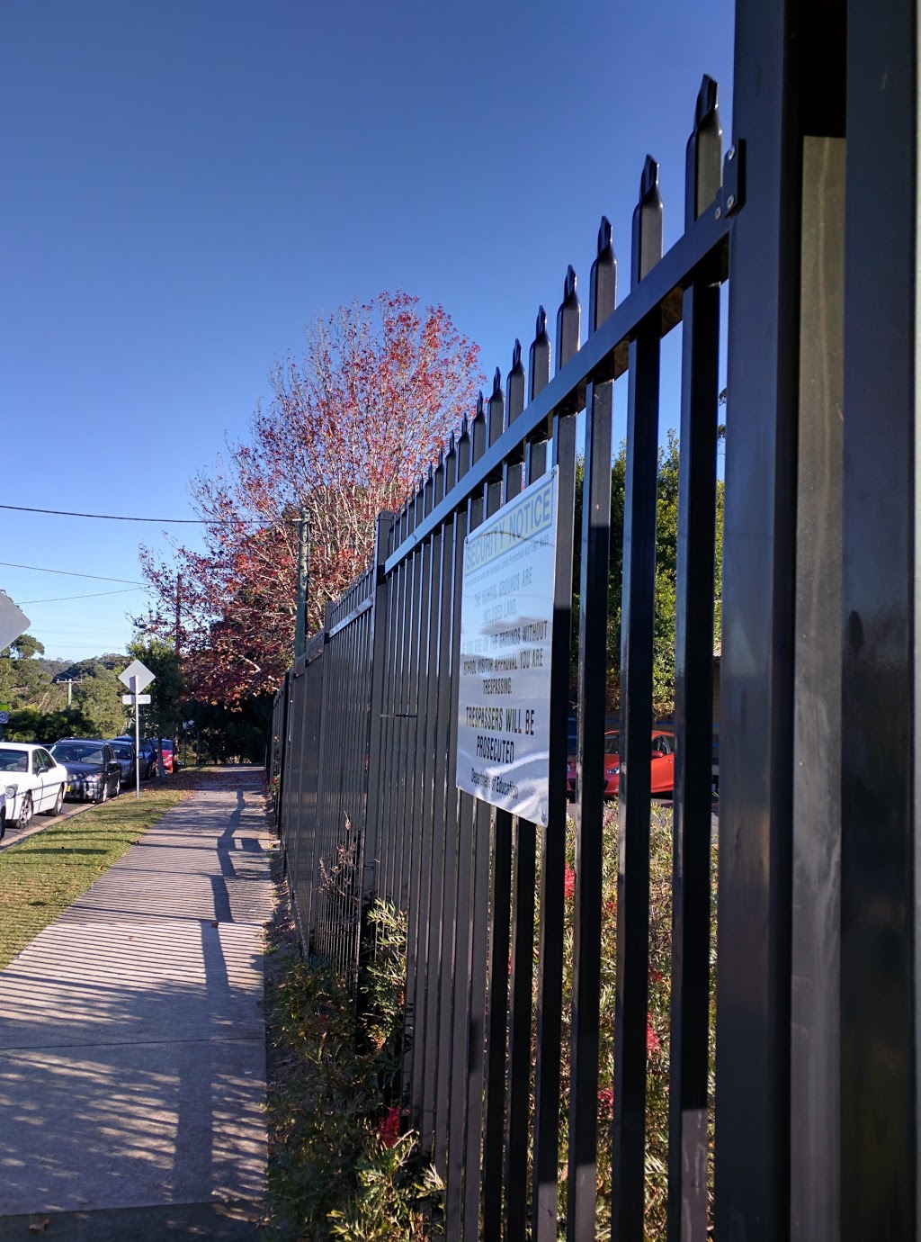 Padstow Heights Public School | school | Chamberlain Rd, Padstow NSW 2211, Australia | 0297739340 OR +61 2 9773 9340