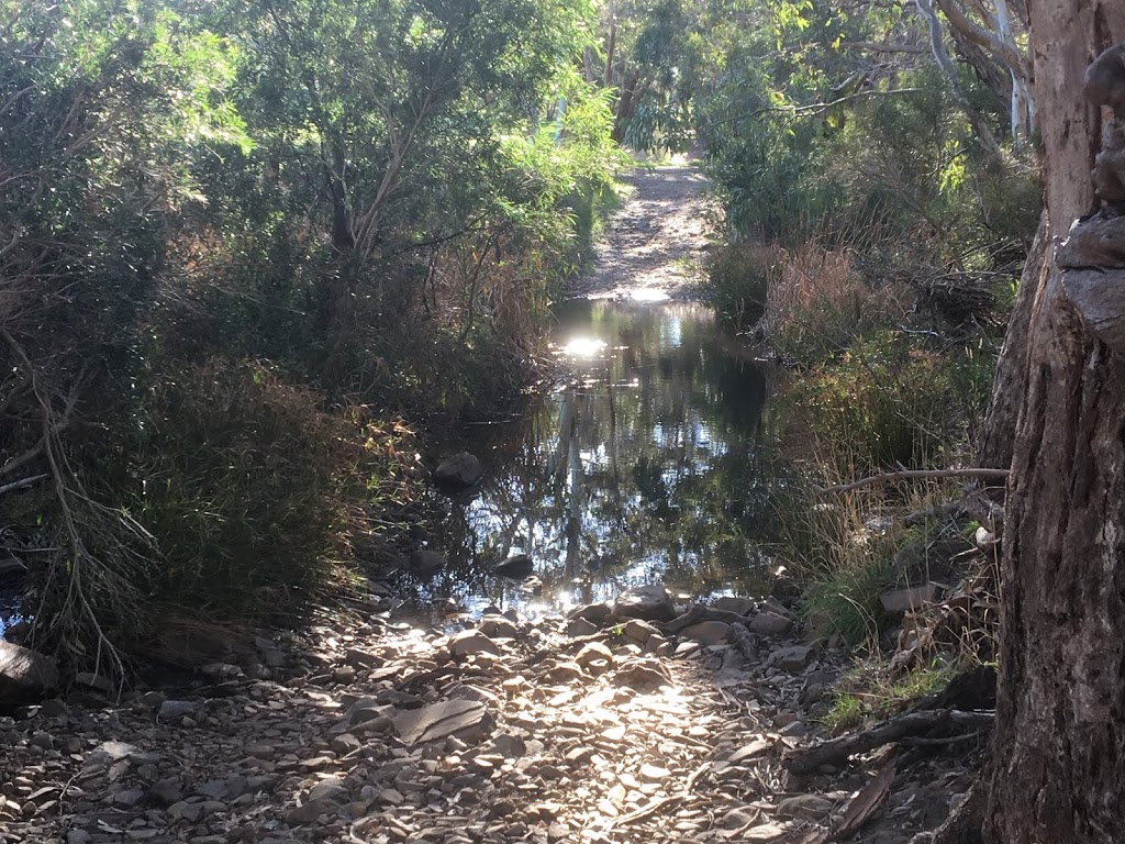 Cox Scrub Conservation Park | park | Bull Creek Rd, Ashbourne SA 5157, Australia