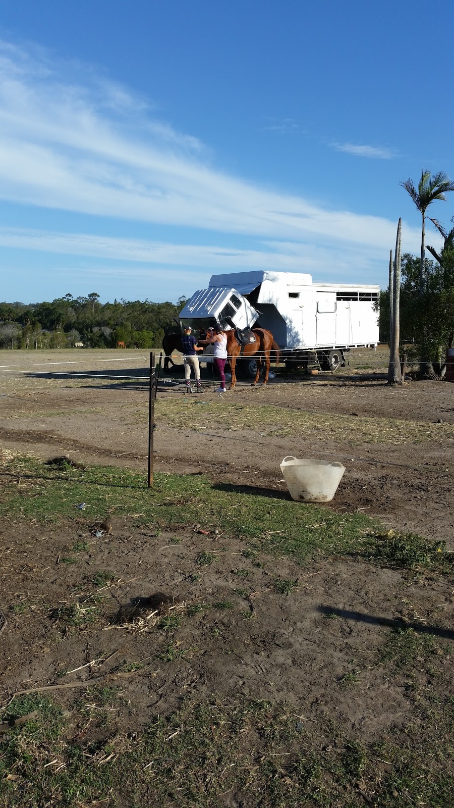 Bluemax Kennels | 755 Mount Cotton Rd, Sheldon QLD 4156, Australia | Phone: (07) 3206 4236