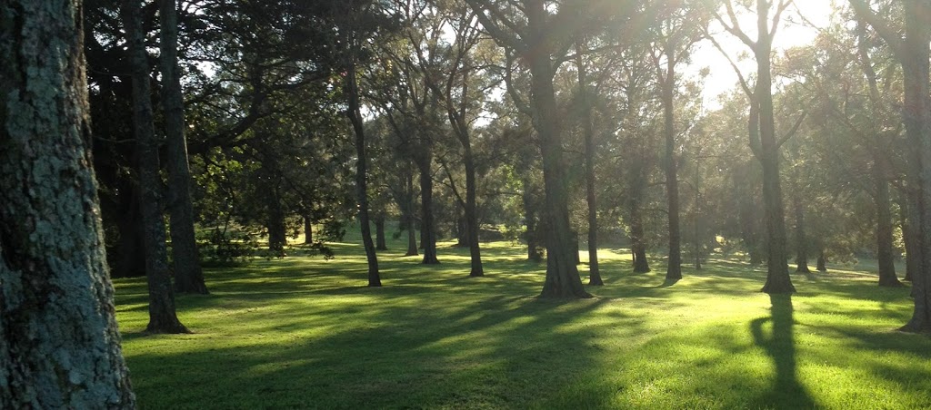 She-oak Grove | Hamilton Dr, Centennial Park NSW 2021, Australia | Phone: (02) 9339 6699