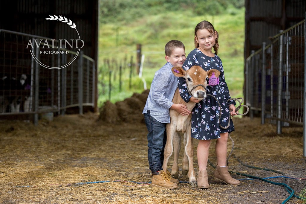 Avalind Photography | 31 Eulimore Rd, Eugowra NSW 2806, Australia | Phone: 0467 315 172