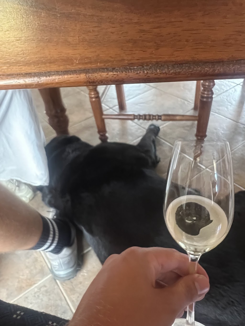 Pierre’s Wines | 82 Elderslie Rd, Branxton NSW 2335, Australia | Phone: 0417 433 193
