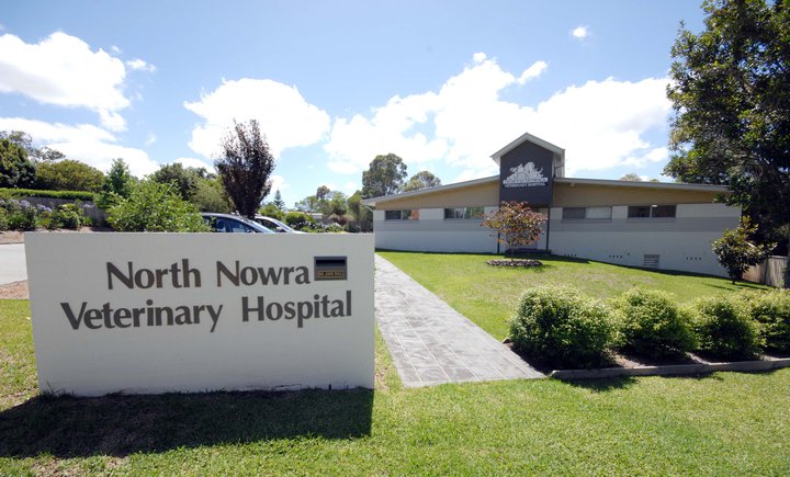 North Nowra Veterinary Hospital | veterinary care | 205 Illaroo Rd, North Nowra NSW 2541, Australia | 0244231688 OR +61 2 4423 1688