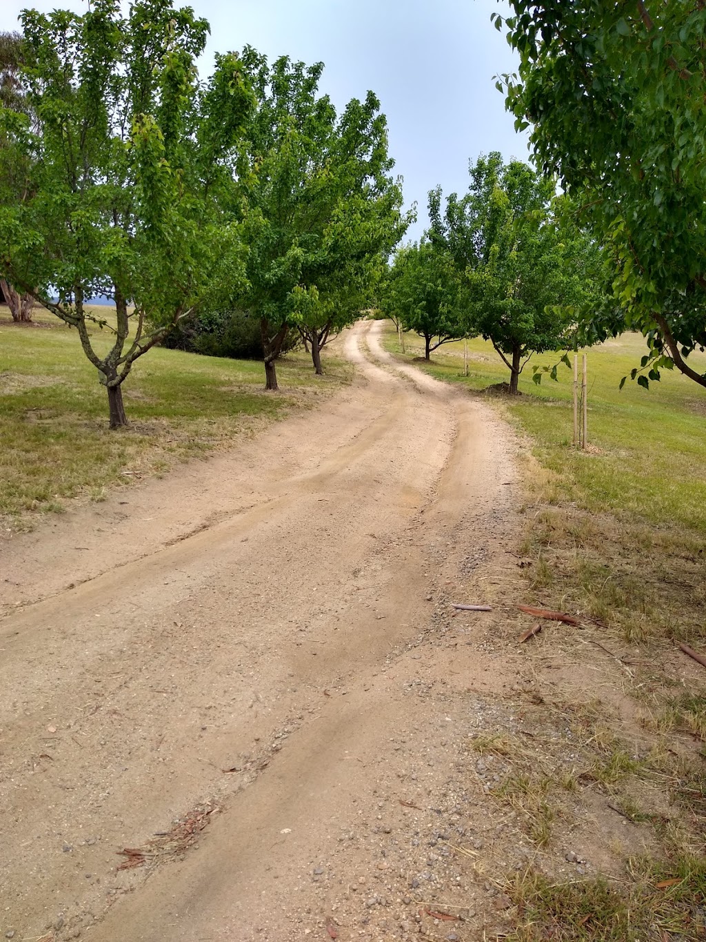 Playles Hill Lookout | park | Corryong VIC 3707, Australia