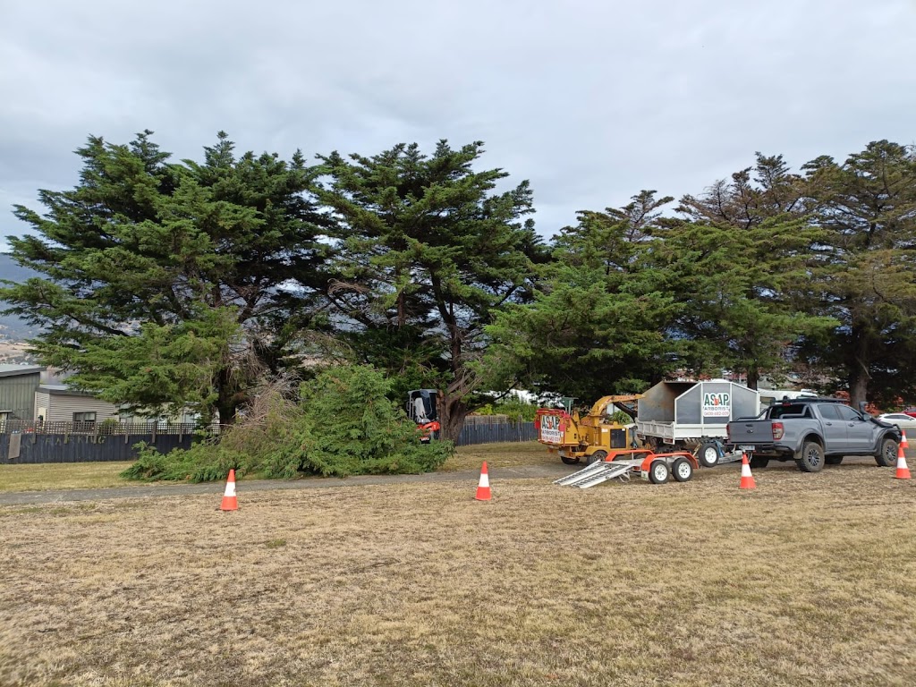 ASAP Arborist | 299 Millvale Rd, Dromedary TAS 7030, Australia | Phone: 0430 682 039