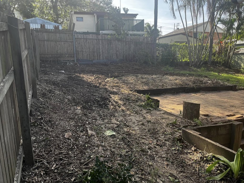 Dans Tree Experts | 220 Avalon Rd, Sheldon QLD 4157, Australia | Phone: 0466 270 743