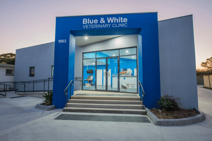 Blue & White Veterinary Clinic | veterinary care | 226 Pacific Hwy, Coffs Harbour NSW 2450, Australia | 0266512477 OR +61 2 6651 2477