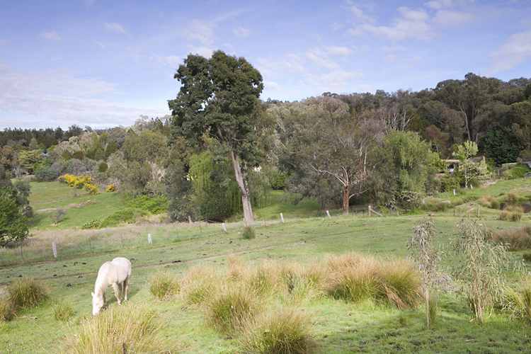 Annies Holiday Units | Gorge Road, Beechworth VIC 3747, Australia | Phone: (03) 5728 1500