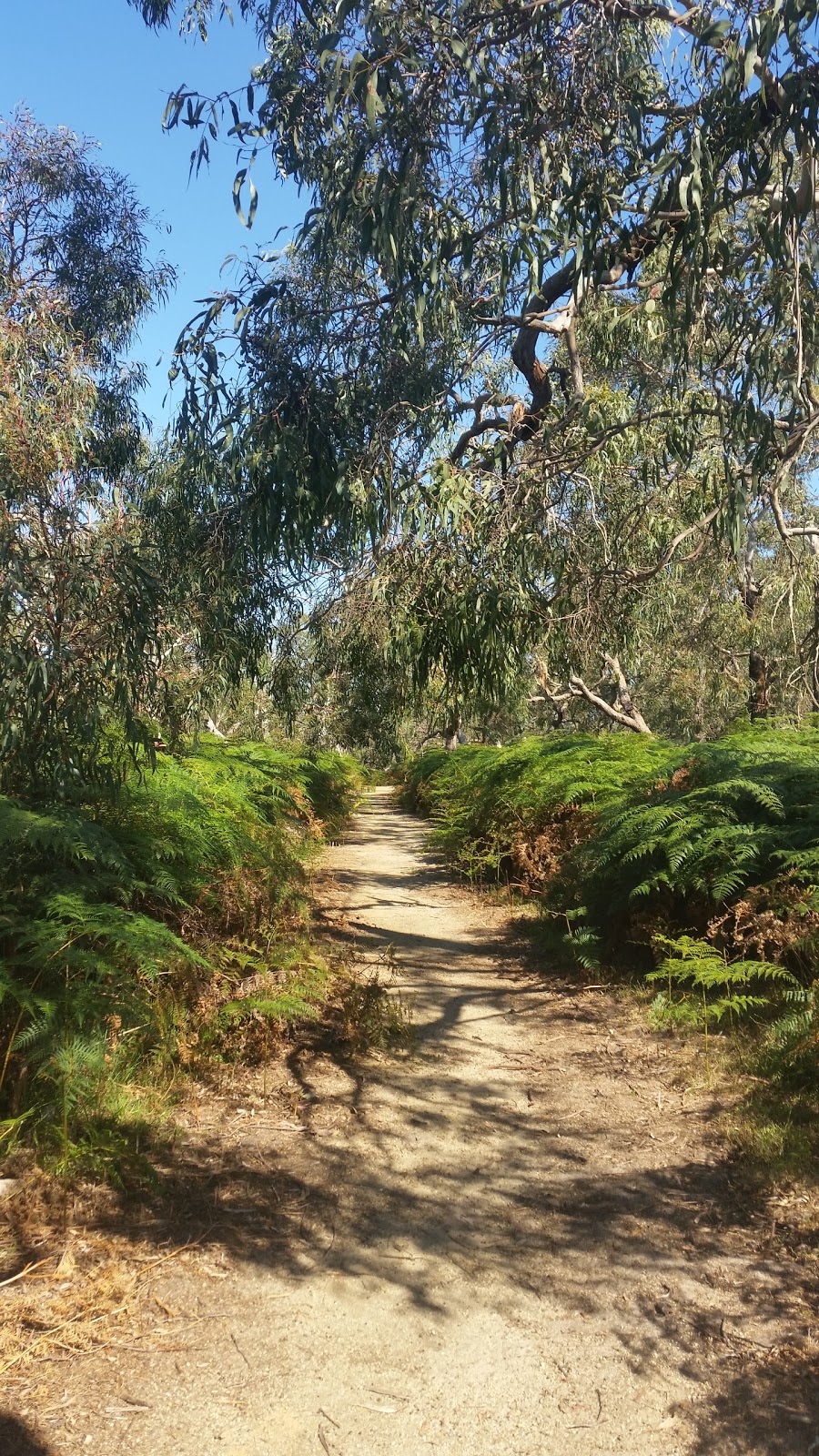 Woodlot Lane Nature Reserve | 13 Woodlot Ln, Tooradin VIC 3980, Australia