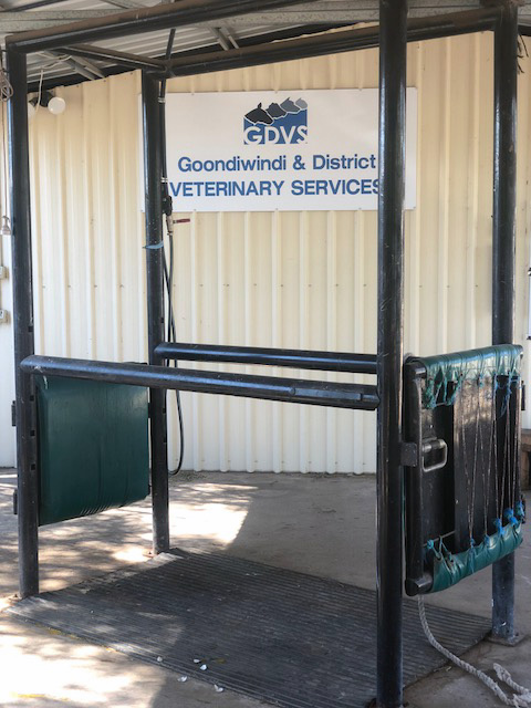 Goondiwindi & District Veterinary Services Horse Unit | 41 Glasser St, Goondiwindi QLD 4390, Australia | Phone: (07) 4671 3405