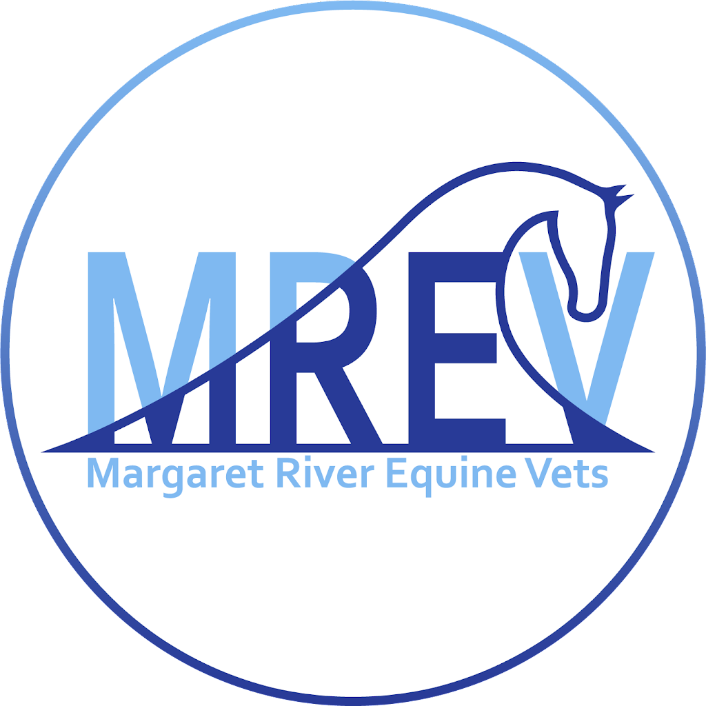 Margaret River Equine Vets | 11479 Bussell Hwy, Margaret River WA 6285, Australia | Phone: 0406 503 836