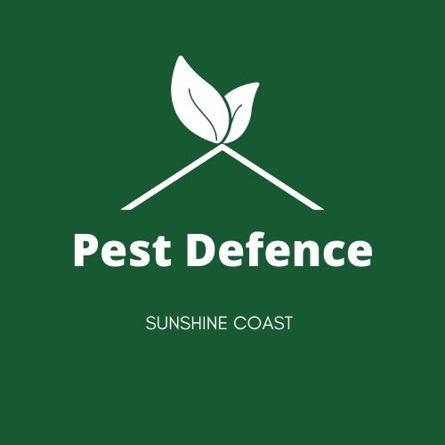 Pest Defence Pest Management | home goods store | William St, Caloundra QLD 4551, Australia | 0424644863 OR +61 424 644 863