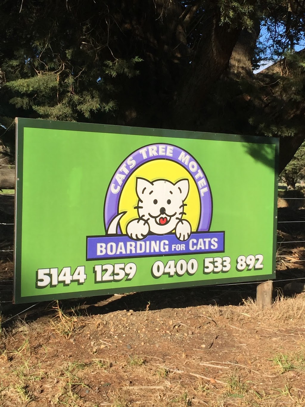 Cats Tree Motel | veterinary care | 676B Princes Hwy, Montgomery VIC 3851, Australia | 0351441259 OR +61 3 5144 1259