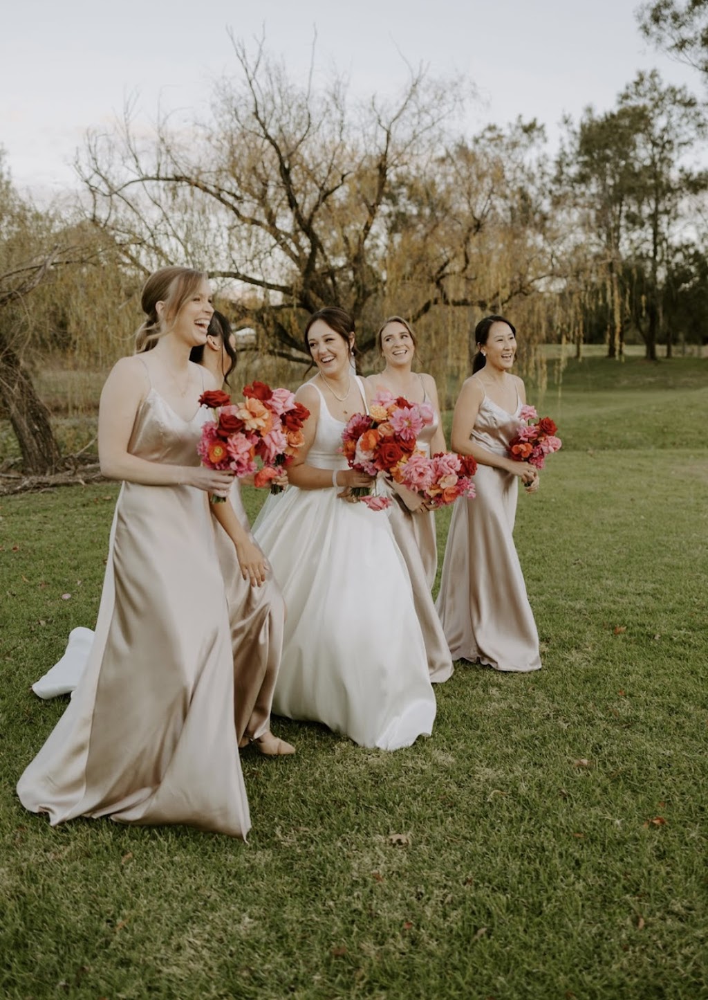 Will & Wild | 15 Maybon Cl, Branxton NSW 2335, Australia | Phone: 0490 118 968