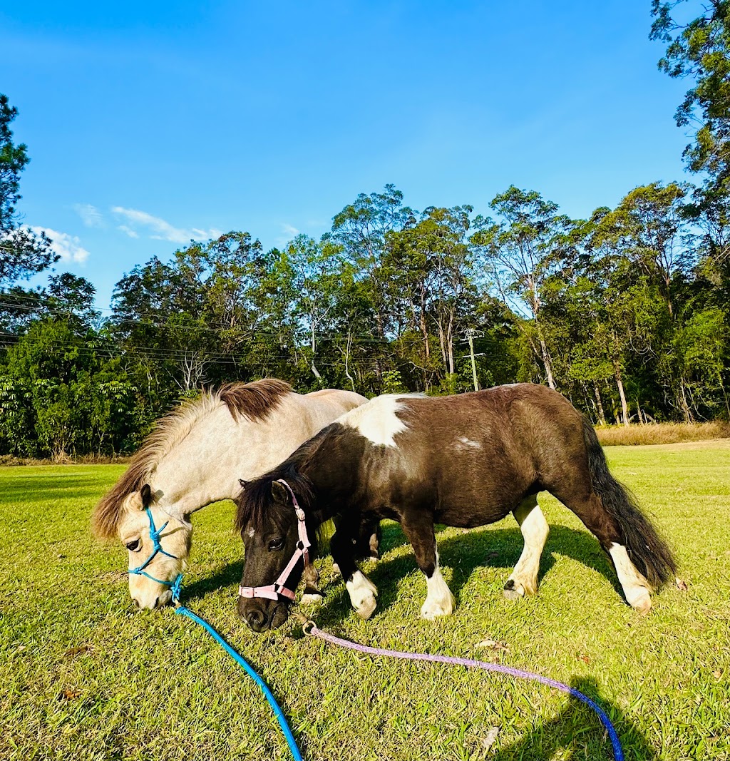 Trusting Connections Counselling | 1 Idolou Ct, Mudgeeraba QLD 4213, Australia | Phone: 0411 445 038