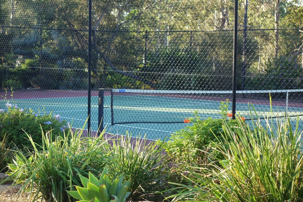 Helens Academy of Tennis | 51 Wights Mountain Rd, Samford QLD 4520, Australia | Phone: (07) 3289 3570