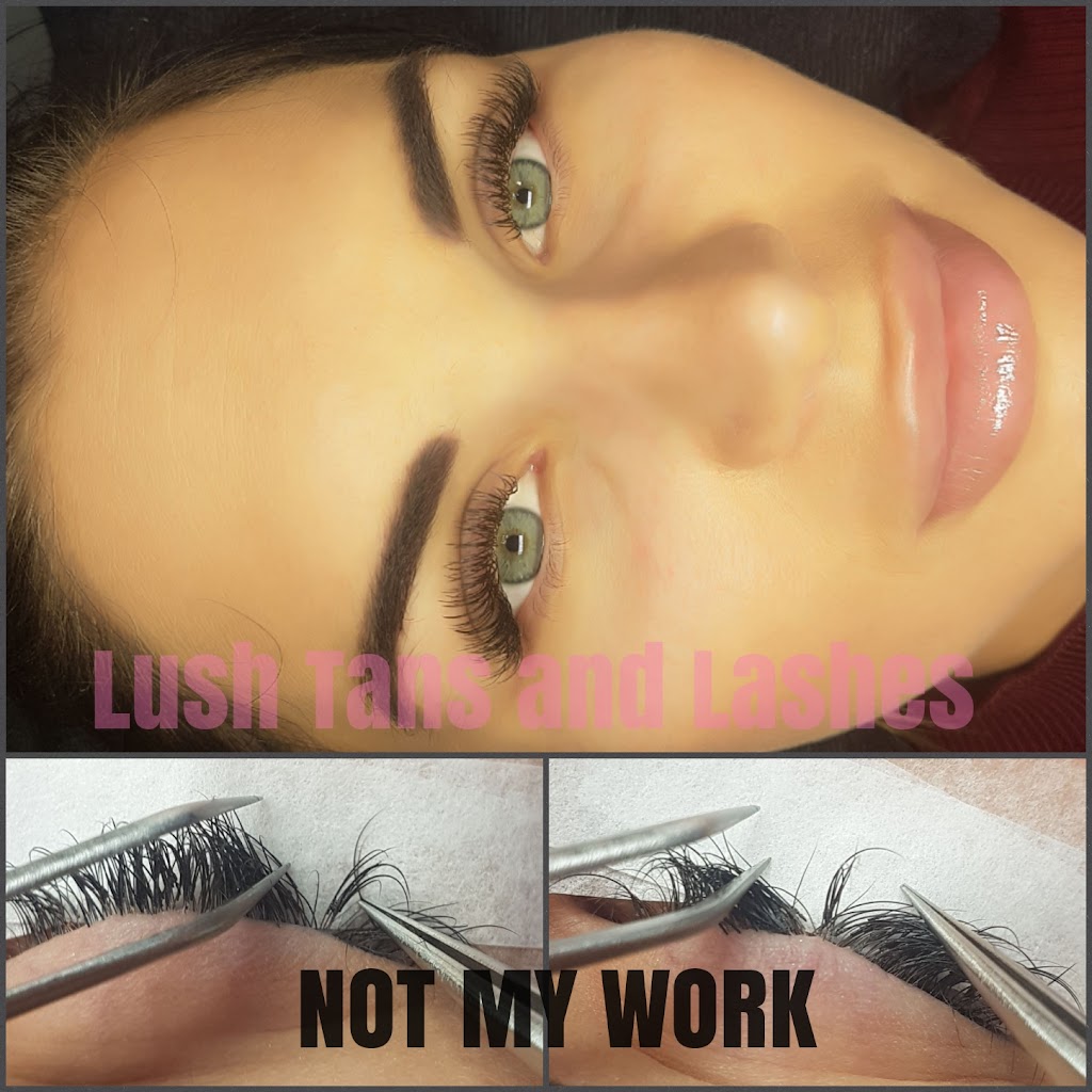 Lush Tans and Lashes | beauty salon | 11 Range Dr, Tanah Merah QLD 4128, Australia | 0458783619 OR +61 458 783 619