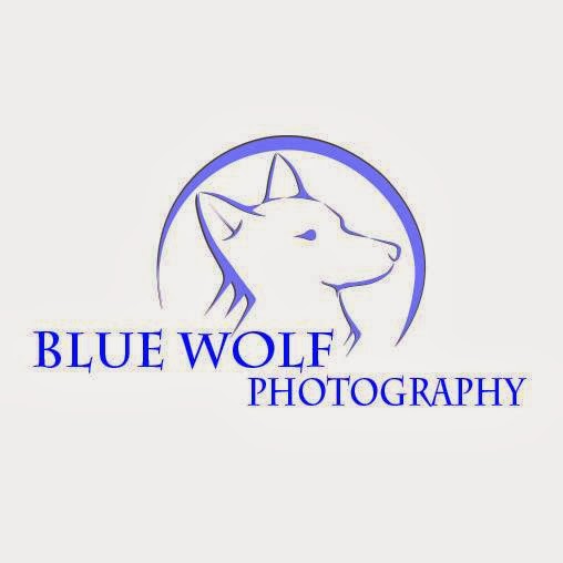 Blue Wolf Photography |  | 9 Genista St, San Remo VIC 3925, Australia | 0356785165 OR +61 3 5678 5165