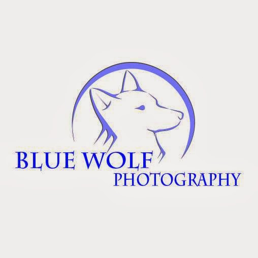 Blue Wolf Photography | 9 Genista St, San Remo VIC 3925, Australia | Phone: (03) 5678 5165