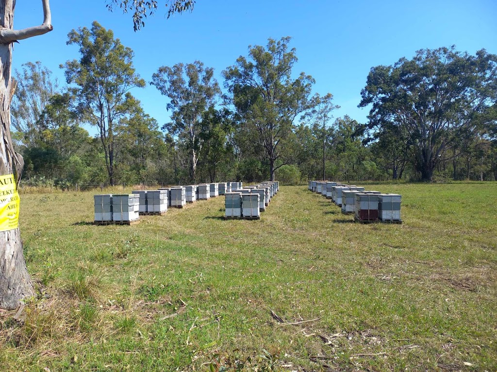 Prestons Honey | 544 Armidale Rd, Elland NSW 2460, Australia | Phone: 0429 697 204