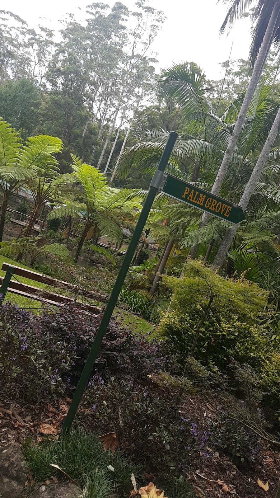 Tamborine Mountain Botanic Gardens Car Park | parking | 31/3 Forsythia Dr, Tamborine Mountain QLD 4272, Australia