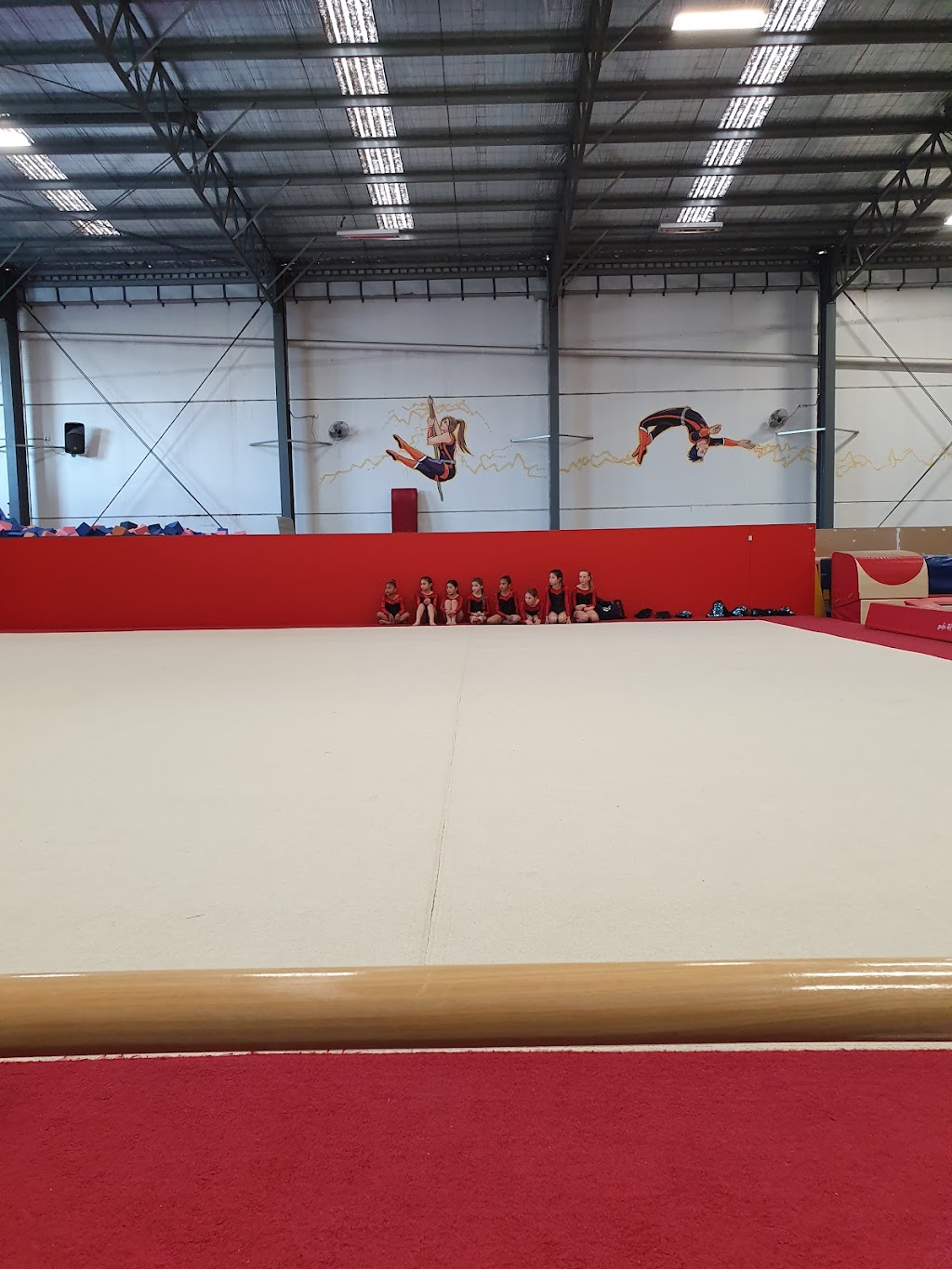 Athleta Gymnastics | unit 3/33-35 Chambers Rd, Altona North VIC 3025, Australia | Phone: (03) 9398 0567