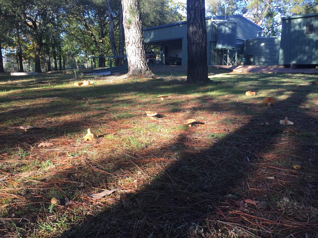 Murraguldrie Veterans Retreat. | Murraguldrie State Forest, Kyeamba NSW 2650, Australia | Phone: 0429 414 909