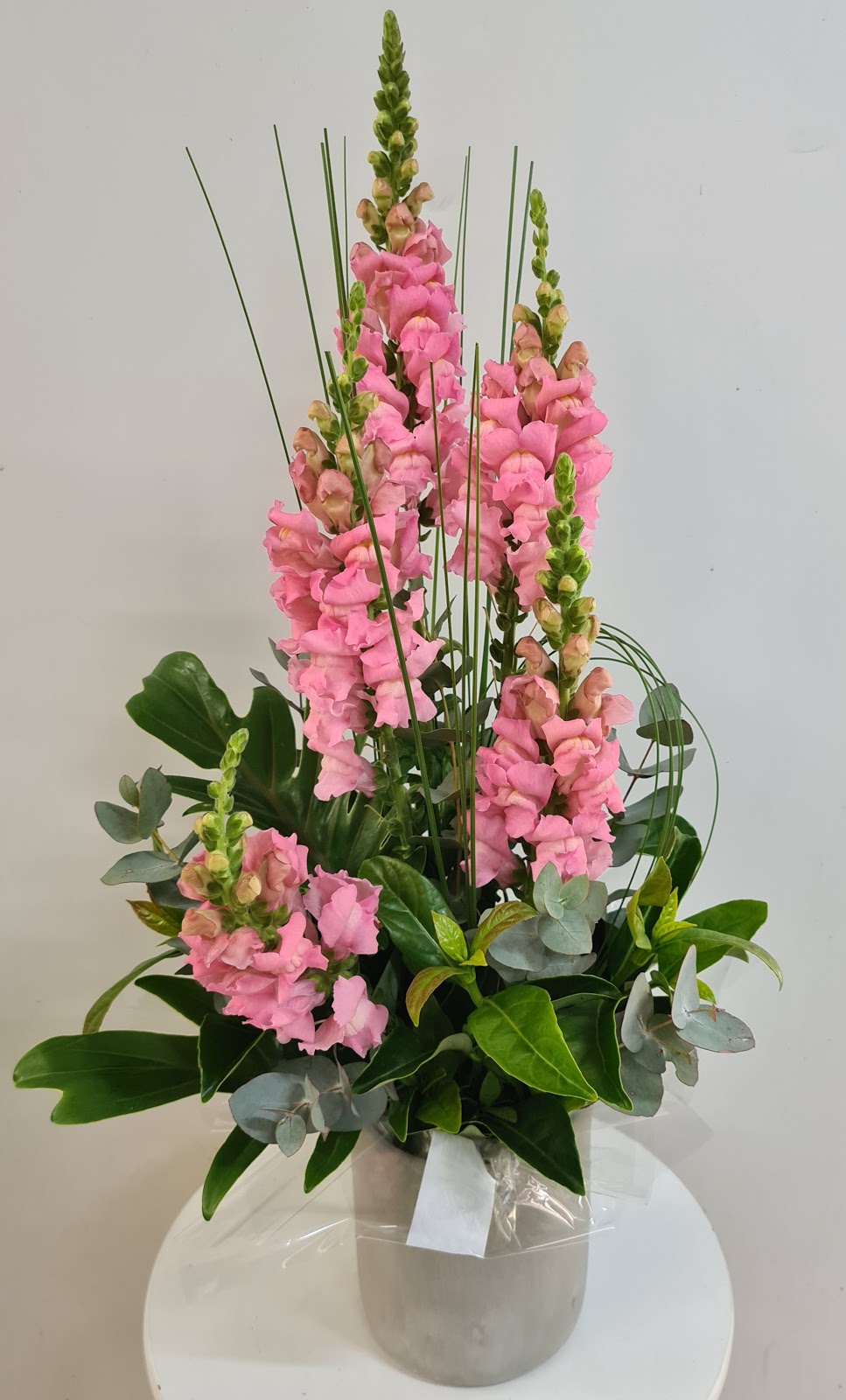 Coastal Flora Caloundra | florist | 3 Rainforest Dr, Meridan Plains QLD 4551, Australia | 0754928777 OR +61 7 5492 8777